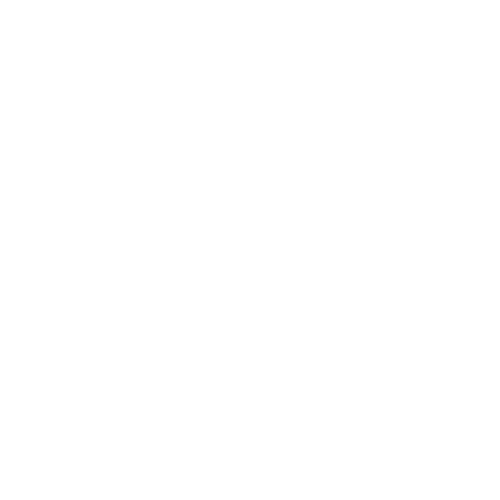 El Yane Store